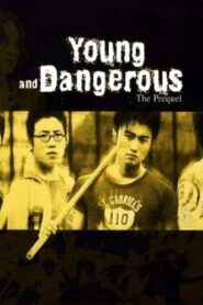 Young and Dangerous: The Prequel 1998 one on netflix