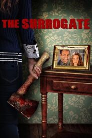 The Surrogate 2013 one on netflix