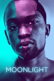 Moonlight 2016 one on netflix