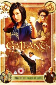 Gallants 2010 one on netflix