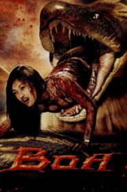 Boa 2006 one on netflix
