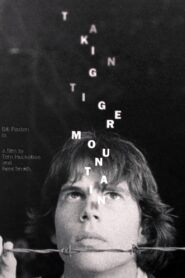 Taking Tiger Mountain 1982 one on netflix