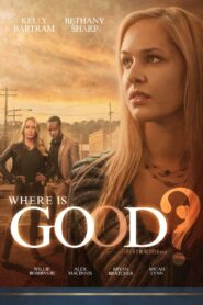Where is Good? 2015 one on netflix