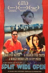Split Wide Open 1999 one on netflix