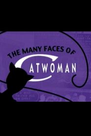 The Many Faces of Catwoman 2005 one on netflix