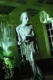 Coffins of Light 2009 one on netflix