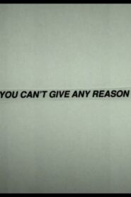 You Can’t Give Any Reason 1992 one on netflix