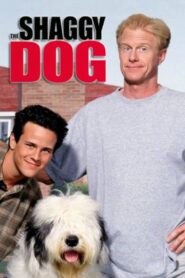 The Shaggy Dog 1994 one on netflix