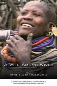 A Wife Among Wives 1981 one on netflix