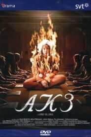 AK3 – Dolda beslut 2006 one on netflix