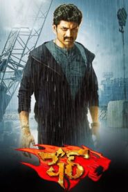 Sher 2015 one on netflix