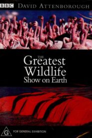 The Greatest Wildlife Show on Earth 1999 one on netflix