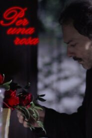 All for a Rose 2017 one on netflix