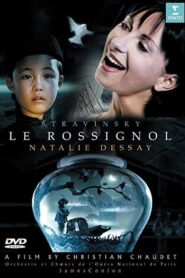 Le Rossignol 2005 one on netflix