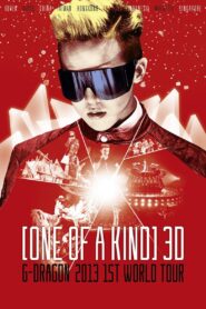 ONE OF A KIND 3D ; G-DRAGON 2013 1ST WORLD TOUR 2013 one on netflix