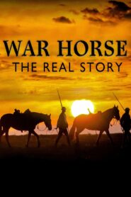 War Horse: The Real Story 2012 one on netflix