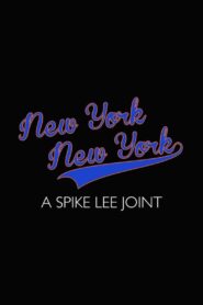 New York New York 2020 one on netflix