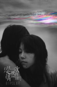 Bipolar 2021 one on netflix