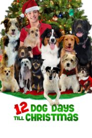 12 Dog Days Till Christmas 2014 one on netflix