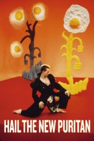 Hail the New Puritan 1986 one on netflix