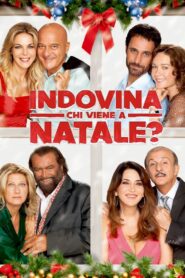 Indovina chi viene a Natale? 2013 one on netflix