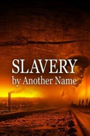 Slavery by Another Name 2012 one on netflix