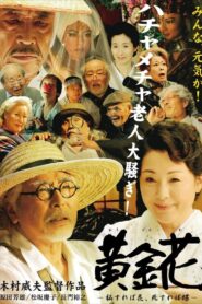 Golden Flower: What Is Hidden Is the True Flower, What Is Gone Is the Butterfly 2009 one on netflix