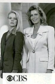 Bar Girls 1990 one on netflix