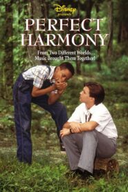 Perfect Harmony 1991 one on netflix