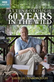 Attenborough: 60 Years in the Wild 2012 one on netflix