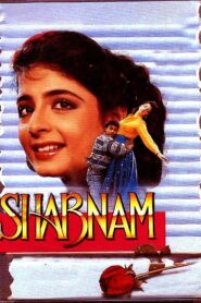 Shabnam 1993 one on netflix