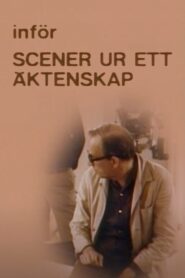 Introducing ‘Scenes from a Marriage’ 1986 one on netflix