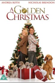 A Golden Christmas 2009 one on netflix