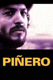 Piñero 2001 one on netflix