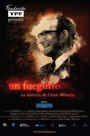 Un Fueguito: La historia de César Milstein 2010 one on netflix