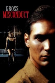 Gross Misconduct 1993 one on netflix