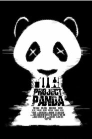 Project Panda 2022 one on netflix