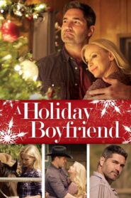 A Holiday Boyfriend 2019 one on netflix