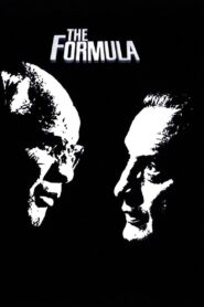 The Formula 1980 one on netflix