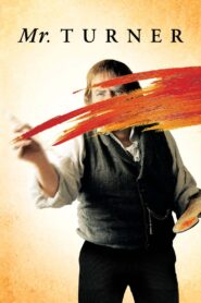 Mr. Turner 2014 one on netflix