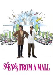 Scenes from a Mall 1991 one on netflix