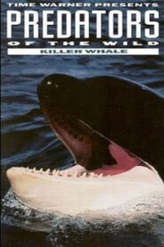 Predators of the Wild: Killer Whale 1992 one on netflix