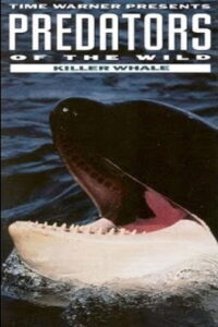 Predators of the Wild: Killer Whale 1992 one on netflix