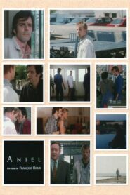 Aniel 1998 one on netflix