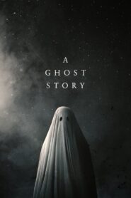 A Ghost Story 2017 one on netflix
