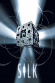 Silk 2006 one on netflix