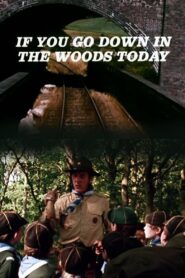 If You Go Down in the Woods Today 1981 one on netflix