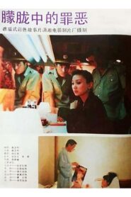 朦胧中的罪恶 1994 one on netflix
