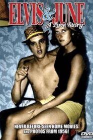 Elvis & June: A Love Story 2002 one on netflix