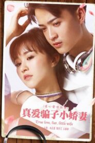 真爱骗子小娇妻 2017 one on netflix